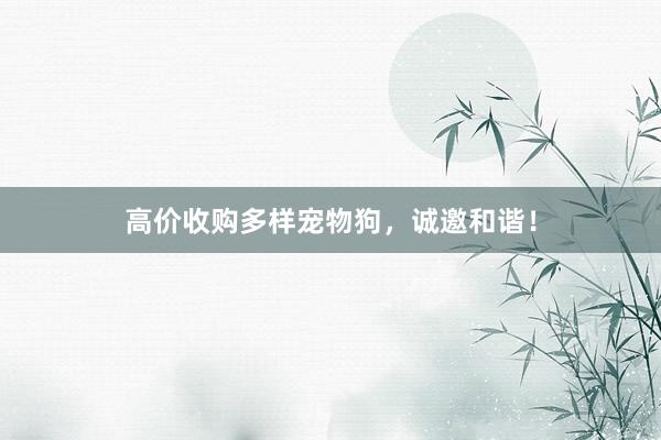 高价收购多样宠物狗，诚邀和谐！